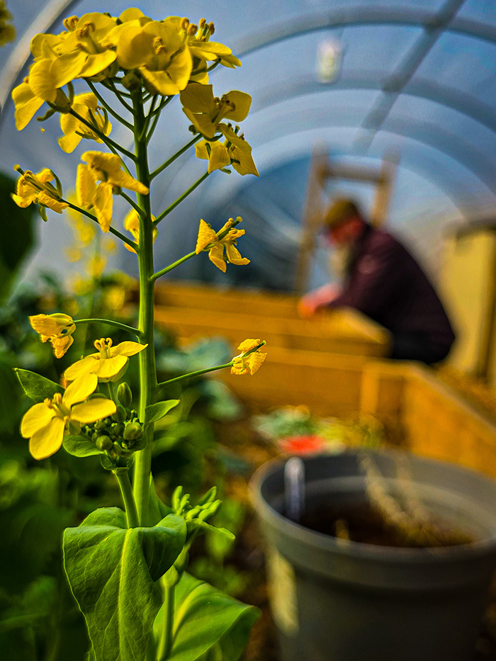 Horticulture at BLOS