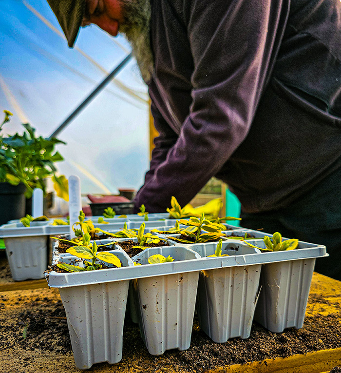 Horticulture at BLOS