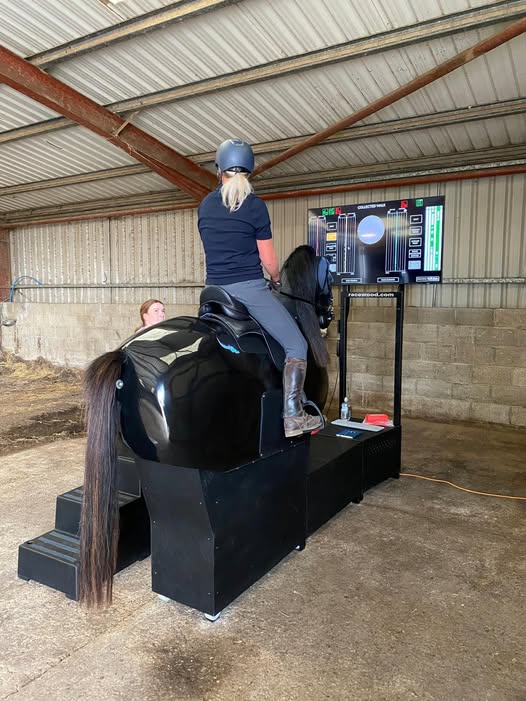 Mechanical Horse Hire Yorkshire