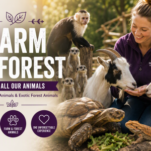 Farm to Forest Feeding
