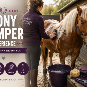 Pampered Pony
