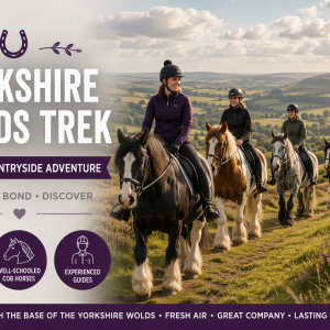 Yorkshire Wolds Trek