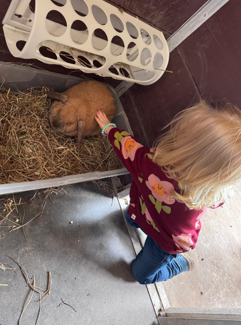 Funny Farm Feeder - Image 12