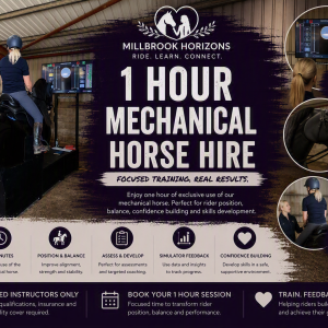 Mechanical Horse Hire - Instructor Hire 1 Hour