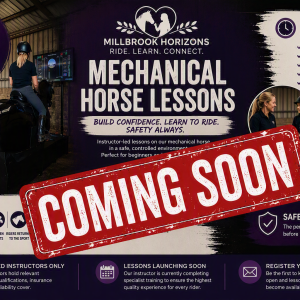Mechanical Horse - Lesson Booking